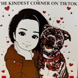 Falux (Kindest Corner on TikTok)